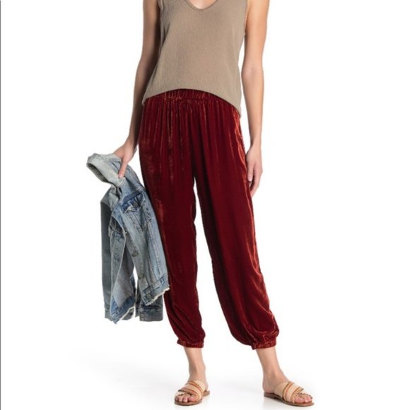 Johnny Was Pants - JOHNNY WAS AURORA  SILK VELVET JOGGER *EUC*
